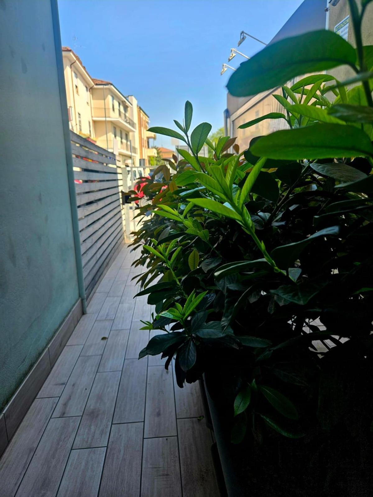 ראבנה Luna City מראה חיצוני תמונה